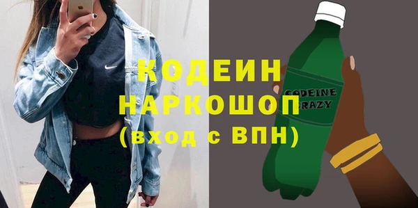 крисы Няндома