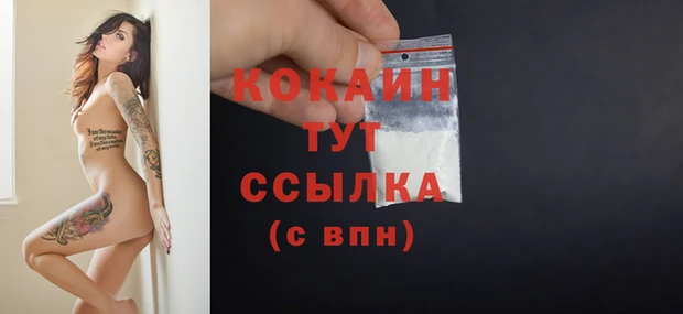 крисы Няндома