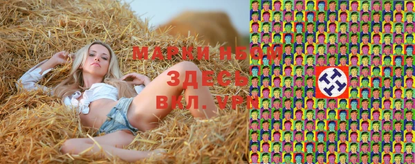 крисы Няндома