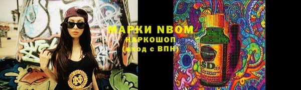 крисы Няндома