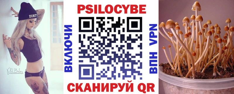 Галлюциногенные грибы ЛСД  что такое   Ревда 