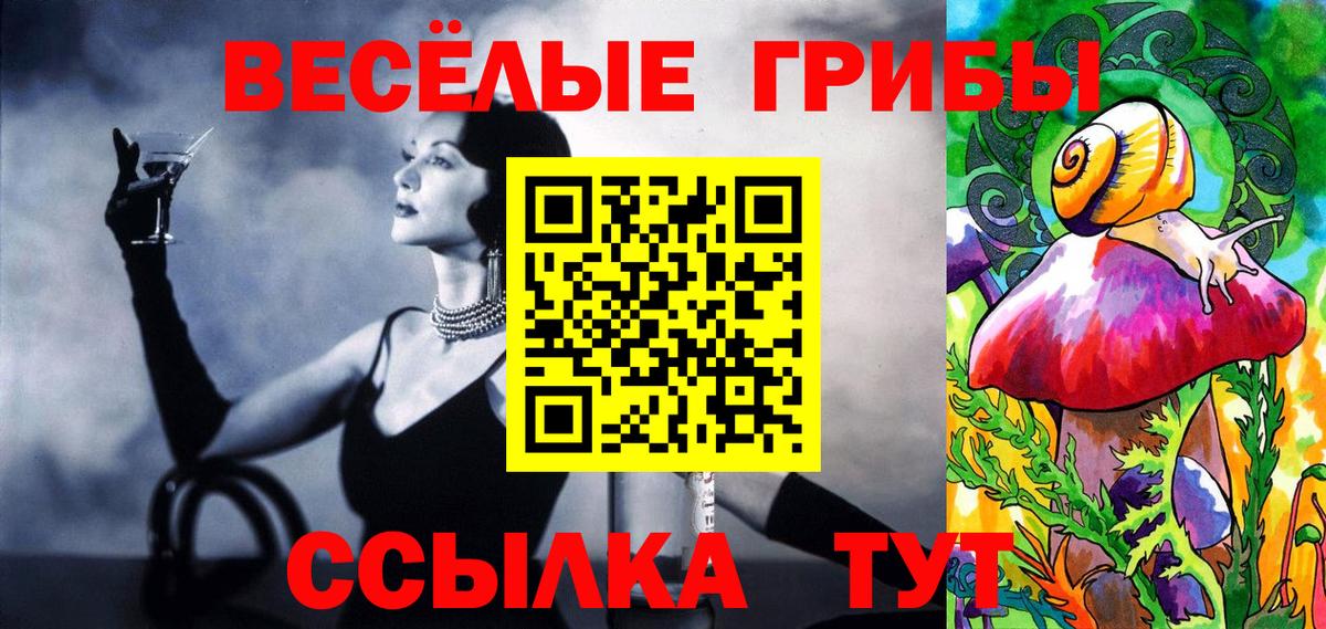 где продают наркотики  Вход с VPN  Ревда  Псилоцибиновые грибы Psilocybe  Псилоцибиновые грибы Psilocybine cubensis 