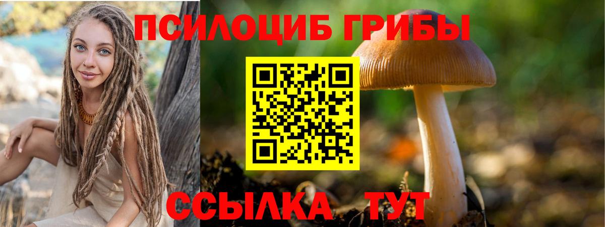 Псилоцибиновые грибы MAGIC MUSHROOMS Ревда